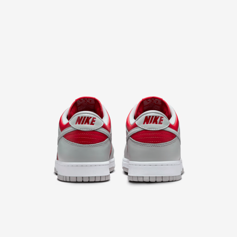 Nike Dunk Low Varsity Red and Silver